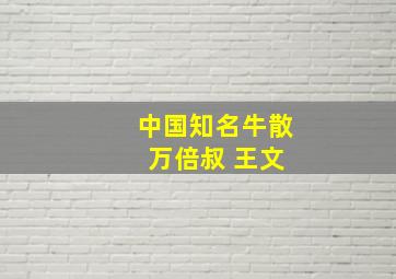 中国知名牛散 万倍叔 王文